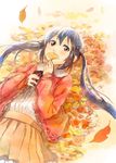  autumn black_hair blouse brown_eyes fukutarou_(enji127) ginkgo k-on! leaf long_hair lying nakano_azusa on_back skirt solo twintails 