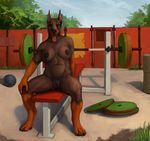  abs anthro breasts brown_fur canine clitoris doberman dog female fur looking_at_viewer mammal morticus nipples nude outside pussy sitting solo tongue tongue_out weightlifting 