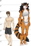  anthro barefoot biceps black_fur black_hair blue_eyes boxers breasts brown_eyes brown_hair claws clothing duo feline female fluffy_tail freelapse front fur grin hair height_chart human male mammal muscles muscular_female nipples orange_fur panties paws pecs pink_nose plain_background pose shorts size_difference smile standing tiger toe_claws toned topless underwear white_background 