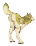  anthro balls bent_over butt canine fur green_fur male mammal nude plain_background pose presenting presenting_hindquarters sekki solo standing transparent_background wolf yellow_fur 