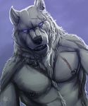  anthro biceps black_nose blue_background blue_eyes canine chest_tuft ear_piercing fangs fur looking_at_viewer male mammal muscles necklace nipple_piercing nipples pecs piercing plain_background pose rrowdybeast scar solo standing teeth toned topless tuft wolf 