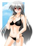  bikini breasts cleavage engo_(aquawatery) large_breasts long_hair lyrical_nanoha mahou_shoujo_lyrical_nanoha mahou_shoujo_lyrical_nanoha_a's red_eyes reinforce silver_hair solo swimsuit very_long_hair 