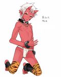  ankle_wrap bare_shoulders bracelet bulge claws coin_rand collar earrings eyebrows facial_mark fangs fundoshi highres horns japanese_clothes jewelry kneeling male_focus monster_boy necklace nipples oni oni_horns open_mouth original pointy_ears red_skin shirtless simple_background solo sweat thighhighs tiger_stripes translation_request white_background white_hair yellow_eyes 