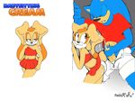  age_difference anthro aval0nx blue_hair brown_eyes clothed clothing cream_the_rabbit cub cum cum_on_back cumshot erection eyes_closed female hair hedgehog lagomorph male mammal masturbation orgasm panties penis rabbit sega skimpy smile sonic_(series) sonic_the_hedgehog underwear young 