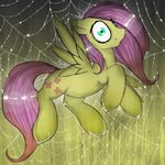  equine female feral fluttershy_(mlp) friendship_is_magic fur green_eyes hair hair_over_eye hair_over_eyes horse long_hair looking_at_viewer mammal my_little_pony pegasus pink_hair pony solo spiderweb wings xenalollie yellow_fur 