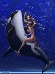  bestiality breasts bubble bubbles cetacean cowgirl_position cum duo erection female feral hair human interspecies karabiner male mammal marine nude on_top orca penetration penis sea sex size_difference straddling straight text underwater water whale 