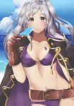  1girl belt bikini blue_sky brown_eyes brown_gloves closed_mouth cloud day female_my_unit_(fire_emblem:_kakusei) fire_emblem fire_emblem:_kakusei fire_emblem_heroes food gloves highres jewelry long_hair maji_(majibomber) my_unit_(fire_emblem:_kakusei) necklace nintendo outdoors popsicle sky smile solo swimsuit twintails water white_hair 
