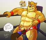  abs accident anthro biceps canine dog doge erection fighting_ring fur grope male mammal meme muscles nipples pecs penis shiba_inu standing surprise sweat topless underwear wolfyama wrestler 