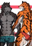  anthro biceps blush boxers bulge canine duo fangs feline fur gay grin gs gs_(pixiv) hand_holding kemono male mammal muscles pecs pose smile standing teeth tiger toned topless underwear wolf 