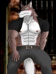  abs anthro belt biceps big_muscles black_nose blush bouncer brown_fur canine claws clothing fur hentist hideo_katashi looking_at_viewer male mammal muscles nipples pants pecs pose security shirt shirt_lift solo standing toned vein white_fur wolf yellow_eyes 