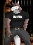  abs anthro belt biceps big_muscles black_nose blush bouncer brown_fur canine claws clothing fur hentist hideo_katashi looking_at_viewer male mammal muscles pants pecs pose security shirt solo standing toned vein white_fur wolf yellow_eyes 