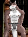 abs anthro biceps big_muscles black_nose blush brown_fur bulge canine claws clothing fur hentist hideo_katashi jockstrap looking_away male mammal muscles nipples pecs pose solo standing toned topless underwear vein white_fur wolf yellow_eyes 