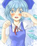  bad_id bad_pixiv_id blue_eyes blue_hair blush cirno crying crying_with_eyes_open lowres short_hair shuga_(soranote) solo tears touhou wings 