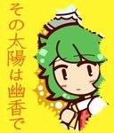  blush_stickers chibi comic cover dora_ita green_hair kazami_yuuka lowres plaid plaid_vest short_hair solo touhou translated umbrella vest 