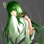  1girl alternate_eye_color arrancar bangs bleach blunt_bangs brown_eyes butterfly cyan_sung-sun facial_mark female green_hair grey_background insect lavie_s long_hair simple_background sleeves_past_wrists slit_pupils smile solo 