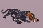  :airless airless claws duo feline feral fur male mammal nines open_mouth panther paws saliva soft_vore spots stripes swallowing teeth tiger tongue vorarephilia vore 