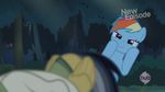  daring_do_(mlp) equine forest friendship_is_magic horse my_little_pony out_of_context pony rainbow_dash_(mlp) screencap suggestive tree 