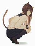  animal_ears brown_eyes brown_hair cat_ears cat_tail cat_teaser kneehighs loafers original school_uniform serafuku shinobu_(kobanatu) shoes skirt solo squatting tail 