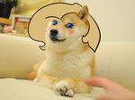  backy black_nose blue_eyes blush canine dog doge meme my_little_pony original_character slavedemorto tan_fur tan_hair 