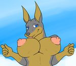  anthro areola big_breasts blue_eyes breasts canine doberman dog erect_nipples female looking_at_viewer mammal nipples smile solo zp92 