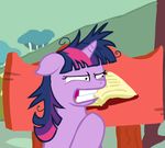  door equine female feral friendship_is_magic fur hair horn horse long_hair mammal multi-colored_hair my_little_pony open_mouth outside polearm pony purple_eyes purple_fur purple_hair sign smile solo staff teeth twilight_scepter_(mlp) twilight_sparkle_(mlp) unicorn workingorder 