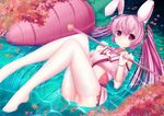  animal_ears bunny_ears carrot detached_sleeves hatsune_miku legs long_hair looking_at_viewer lying on_back panties partially_submerged pink_eyes pink_hair solo thighhighs twintails underwear very_long_hair vocaloid zheyi_parker 