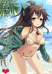  alternate_costume bad_id bad_pixiv_id beach bikini blush bow breasts brown_hair cover covered_nipples day hair_bow hanao_(kuma-tan_flash!) jacket jewelry large_breasts leaf long_hair ocean open_clothes open_jacket outdoors pendant polka_dot polka_dot_bikini polka_dot_swimsuit red_eyes reiuji_utsuho smile solo swimsuit touhou water 