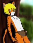  blonde_hair blue_eyes cheetah collar erection feline forest fur hair iclare_krual loincloth loincloth_aside male mammal orange_fur penis petkitten spots tree white_fur 