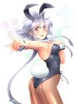  animal_ears back-seamed_legwear blue_eyes blush bow bowtie breasts brown_legwear bunny_ears bunny_girl bunny_tail bunnysuit detached_collar heterochromia lavolpe_(yagisaka_seto) medium_breasts open_mouth original pantyhose purple_eyes seamed_legwear short_hair_with_long_locks silver_hair simple_background smile solo tail wrist_cuffs yagisaka_seto 