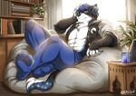 abs absurd_res anthro bean_bag calm canid canine canis clothing cosmic_fur decoration electronics happy headphones hi_res inside kuro_(disambiguation) legwear light listening_to_music littlebadwolf male mammal muscular pantyhose relaxed_expression sitting solo sunlight tights wolf