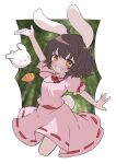  1girl :3 :d ahase_hino ahoge animal_ears arm_up arms_behind_back bamboo bamboo_forest black_hair blurry blurry_background blush bob_cut border breasts brown_eyes carrot_necklace commentary dress forest grin highres inaba_tewi jewelry looking_at_viewer nature neck_ribbon necklace outside_border outstretched_arms pink_dress puffy_short_sleeves puffy_sleeves rabbit rabbit_ears rabbit_girl rabbit_tail red_ribbon ribbon short_hair short_sleeves small_breasts smile smug solo tail touhou v-shaped_eyebrows white_border white_rabbit_(alice_in_wonderland) 