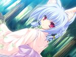  1girl animal_ears bell blue_hair bow catgirl female forest game_cg japanese_clothes kiryuu_hina mikagami_mamizu nature neko_koi pink_eyes short_hair tree whirlpool 