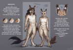 anthro breasts duo ears_up featureless_breasts featureless_crotch felid feline female hair hi_res kruskont_(species) larger_male lostgoose male mammal model_sheet navel nude simple_background size_difference smaller_female spots tail text
