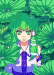  bad_id bad_pixiv_id detached_sleeves frog green green_eyes green_hair hair_ornament kochiya_sanae leaf long_hair looking_at_viewer mozu_suka snake solo touhou water_drop 