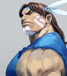  brown_hair cozy facepaint male_focus native_american solo street_fighter thunder_hawk 