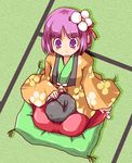  cat from_above hieda_no_akyuu japanese_clothes kanoe_soushi pillow sitting solo touhou 