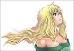  bare_shoulders black_border blonde_hair blue_eyes border breasts collarbone long_hair macross macross_frontier medium_breasts mura_(kiyohime) sheryl_nome simple_background solo upper_body white_background 