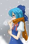  blush cirno masakichi_(heppouku) scarf snow solo touhou 