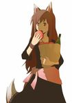  animal_ears apple bad_id bad_pixiv_id bag bottle brown_hair eating food fruit groceries holo long_hair paper_bag red_eyes solo spice_and_wolf tail wolf_ears wristband yow 
