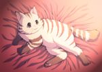  animal bed_sheet cat ginga_tetsudou_999 mii_(ginga_tetsudou_999) no_humans orange_eyes paws solo tomo_(yuugure) whiskers 