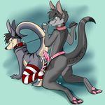  anal anthro bryce-roo canine collar cuntboy dildo duo from_behind hindpaw intersex invalid_color kangaroo kneeling leash legwear lube male mammal marsupial pawpads paws pegging penis piercing sex_toy sirod stockings strapon thigh_socks three_toes toeless_socks wolf 