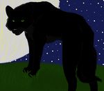  black_fur canine female fur grass green_eyes looking_at_viewer looking_back mammal moon night outside shadow stars whitenoise wolf 