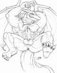  abs anthro anus balls biceps big charizard claws dragon erection fangs flexing grin jrbart looking_at_viewer male muscles nintendo nude pecs penis pok&#233;mon pok&eacute;mon pose scalie sketch smile solo teeth toned vein video_games 
