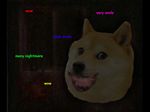  canine dark dog doge english_text evil_grin looking_at_viewer meme nightmare_fuel photoshop smile smile_dog solo stare text 