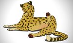  cheetah digitoxici feline female feral fur green_eyes looking_at_viewer mammal multi_nipple nipples nude plain_background presenting smile solo spots spread_legs spreading white_background yellow_fur 