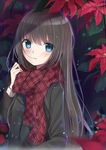  blue_eyes blush brown_hair coat flower jacket long_hair maigoyaki original plaid plaid_scarf scarf solo 