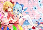  cirno flandre_scarlet musou_yuchi tagme touhou 