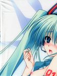  aoi_hiro hatsune_miku partial_scan stitchme verdant_force vocaloid 