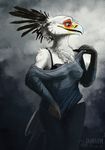  avian bombird bra breasts clothing female secretary_bird translucent transparent_clothing underwear undressing wide_hips 