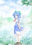  arms_behind_back barefoot blue_eyes blue_hair cirno hands_clasped kiriu lake lily_pad looking_back own_hands_together ribbon short_hair solo touhou wings 
